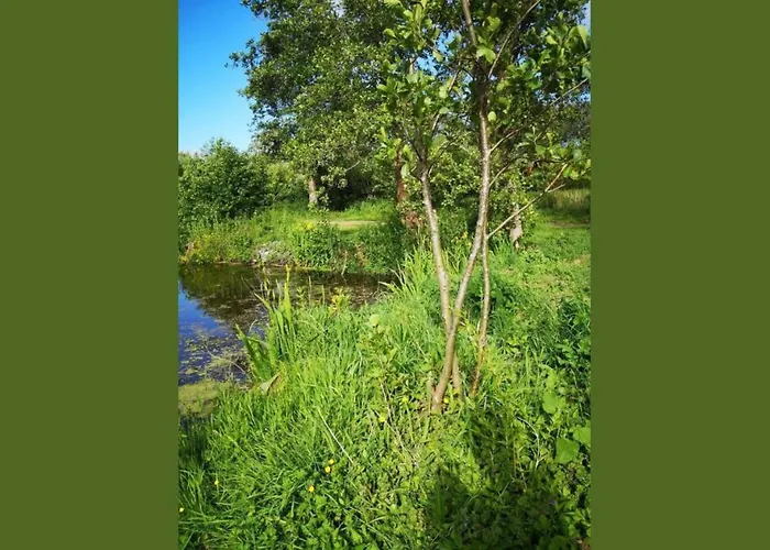 22 - Les Robinson Du A - Peche Gratuite Sans Permis Campingplads *